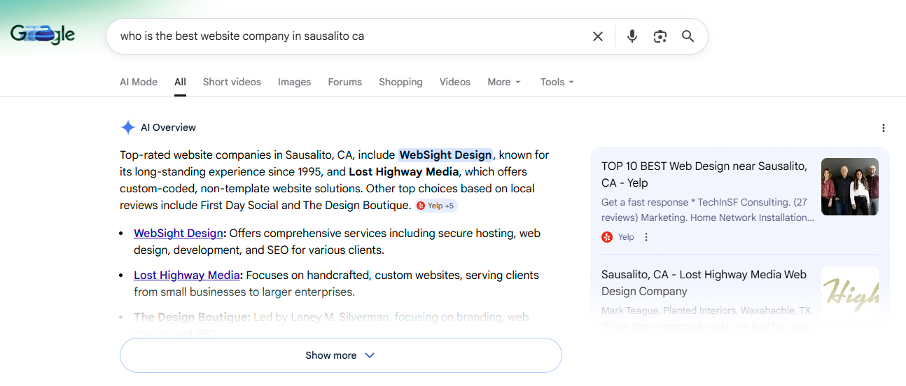 AI Overview from Google