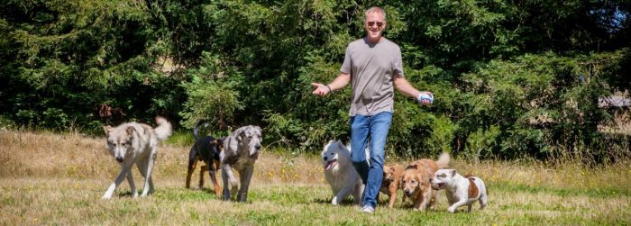 Image of agent Dave Carpenter in a grassy area with dogs