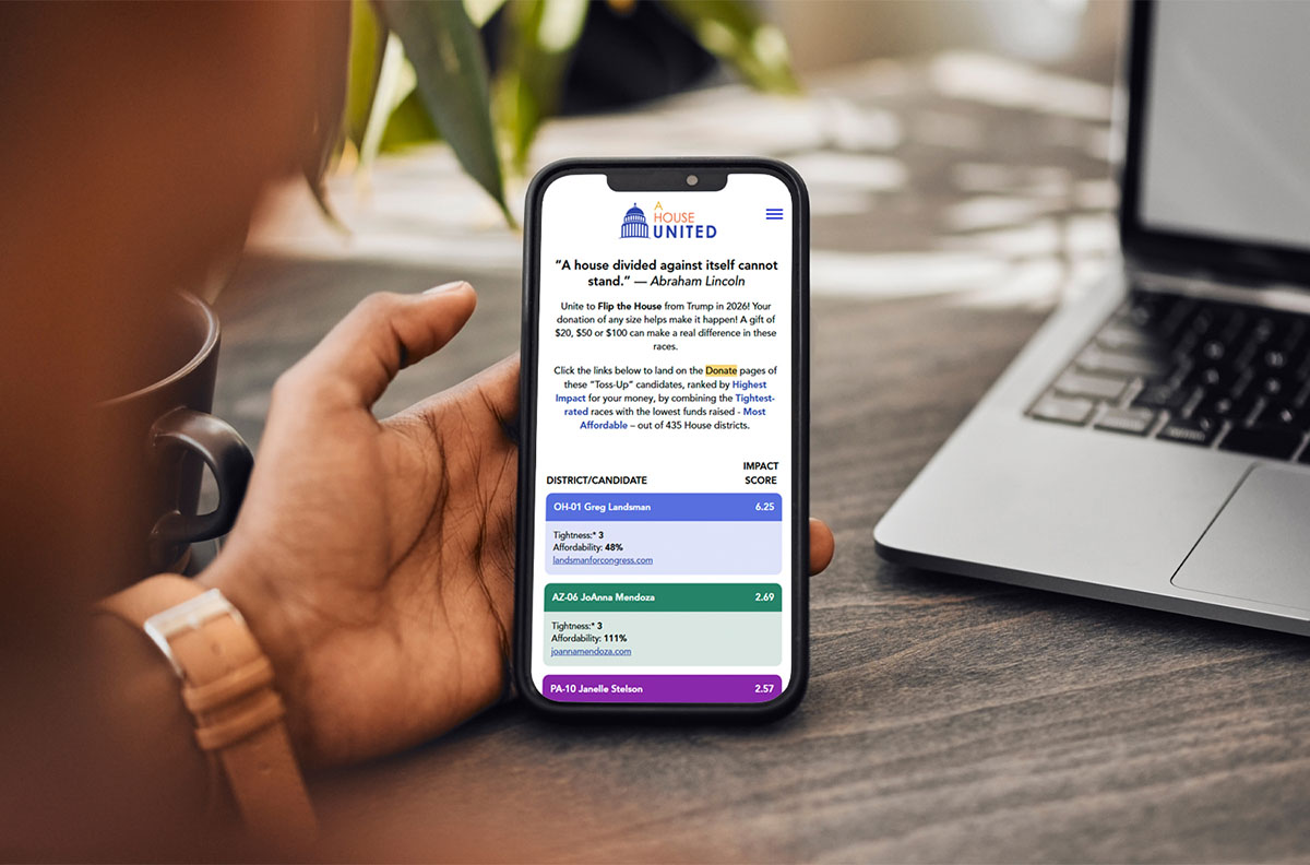 Image of Sedge Dienst - A house United