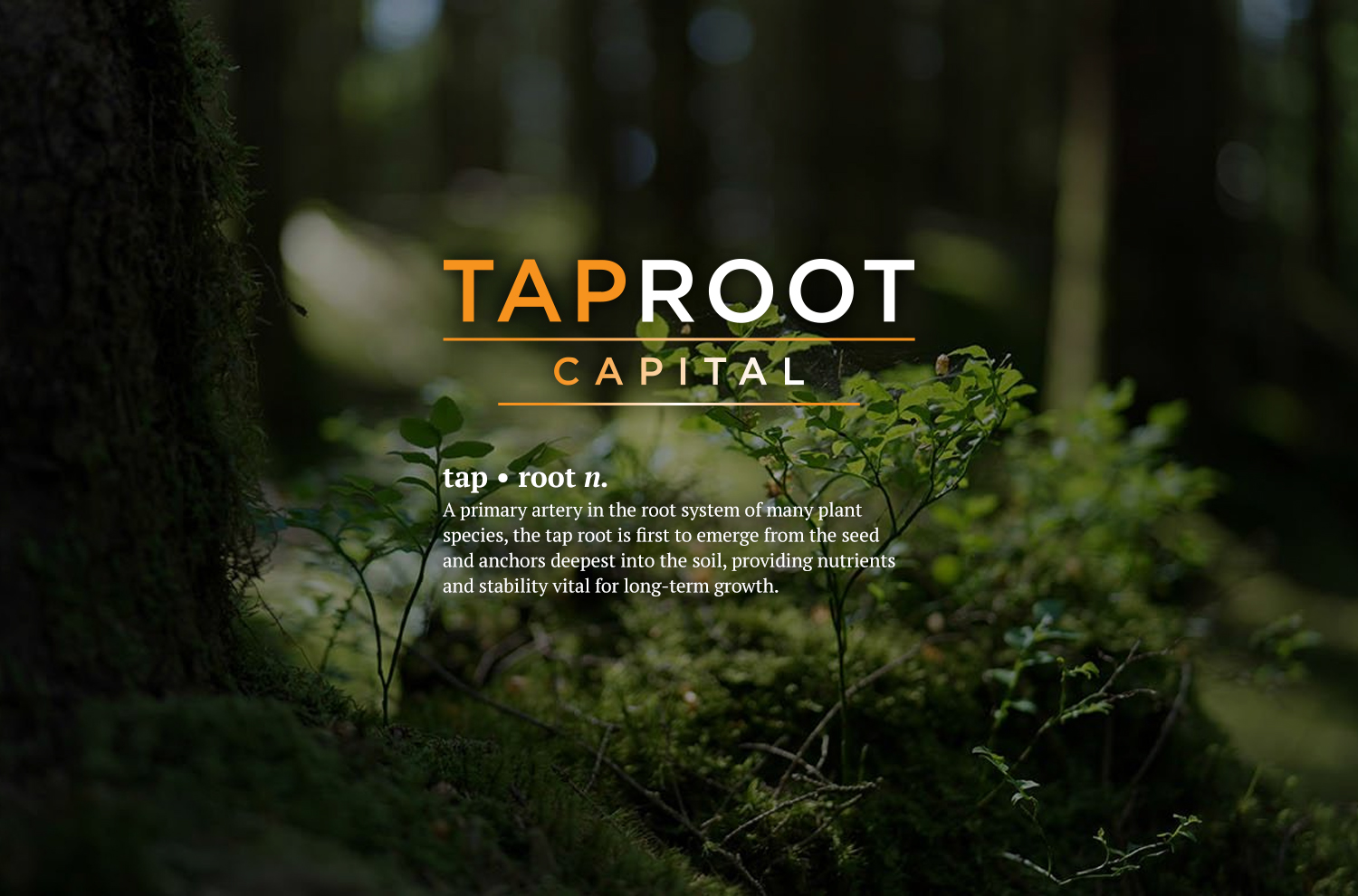 Image of Taproot Capital - Private Equity